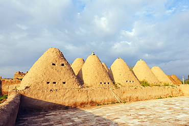 Bee-hive mud brick houses, village of Harran, Anatolia, Turkey, Asia Minor, Eurasia