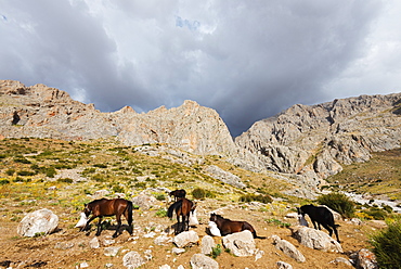 Ala Daglar National Park, Cappadocia, Anatolia, Turkey, Asia Minor, Eurasia