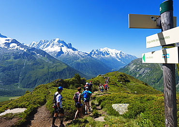 Chamonix trail running marathon, Mont Blanc 4810m, Chamonix, Rhone Alps, Haute Savoie, French Alps, France, Europe