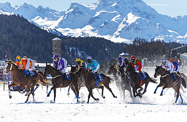 White Turf International Horse Race, winter, St. Moritz, Engadine, Graubunden, Switzerland, Europe