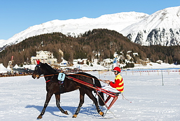 Trap event, White Turf International Horse Race, winter, St. Moritz, Engadine, Graubunden, Switzerland, Europe