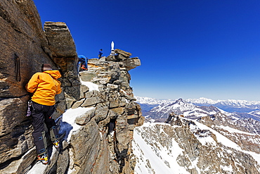 Climbers on Madonna summit 4059m, Grand Paradiso, Aosta Valley, Italian Alps, Italy, Europe