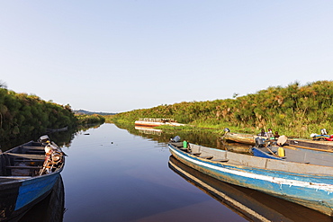 Mabamba swamp, Uganda, Africa