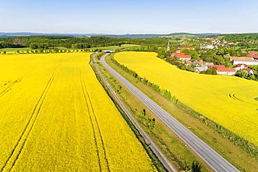 Aerial view of rape seed fields, Saxony, Germany, Europe