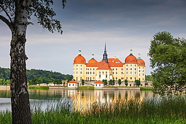 Moritzburg Castle, Saxony, Germany, Europe