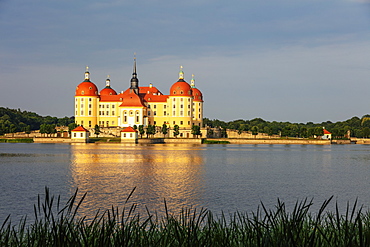 Moritzburg Castle, Saxony, Germany, Europe