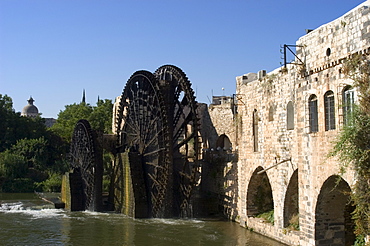 Mosque, water wheel on the Orontes River, Hama, Syria, Middle East