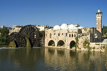 Mosque and water wheels on the Orontes River, Hama, Syria, Middle East