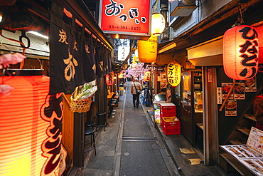 Yokocho food alley, Shinjuku, Tokyo, Japan, Asia