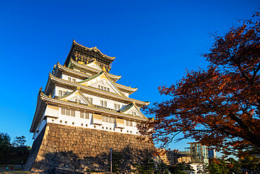 Osaka Castle, Osaka, Kansai, Japan, Asia