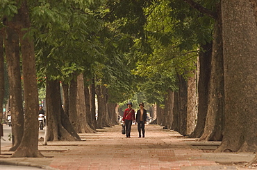 Women walking through avenue of trees, Hanoi, Northern Vietnam, Southeast Asia, Asia