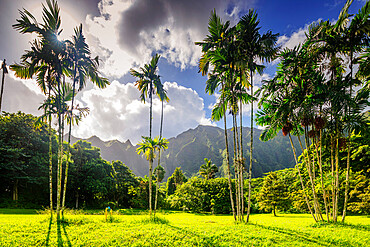 Ho'omaluhia Botanical Garden, Oahu Island, Hawaii, United States of America, North America