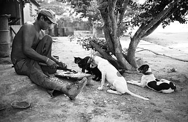 Man preparing breakfast, watched by dogs and a cat, Medina, Venezuela, South America