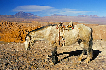 Atacama desert, Chile, South America