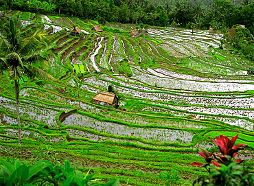 Bali, Indonesia