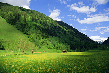 Stubachtal Valley, Hohe Tauern National Park, Salzburgland, Austrian Alps, Austria, Europe