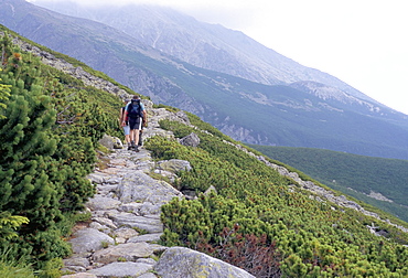 Hikers walking along Tatranska magistrala trail in Vysoke Tatry mountains, Vysoke Tatry, Slovakia, Europe