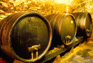 Wooden kegs for ageing wine in cellar of Pavel Soldan in village of Modra, Bratislava Region, Slovakia, Europe