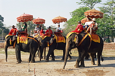 Tourists riding elephants in traditional royal style, Ayuthaya, Thailand, Southeast Asia, Asia