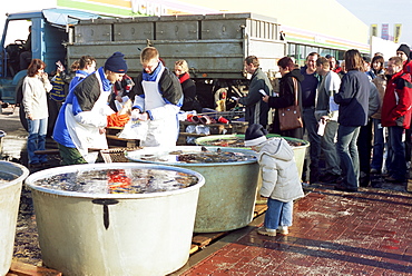 Buying live carp from tubs on the street for Christmas Eve, a tradition dating back hundreds of years, Prague, Czech Repubic, Europe