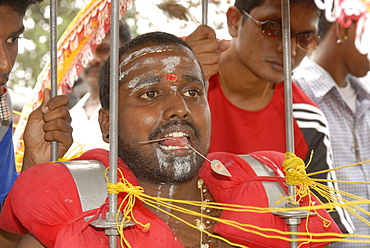 Close up of pilgrim in trance, a kavadi (carrier) has a needle through his tongue and is carrying the vel kavadi attached by spikes that pierce his skin, during Hindu Thaipusam Festival, carrying it from Sri Subramaniyar Swami Temple up to Batu Caves, Selangor, Malaysia, Southeast Asia, Asia