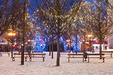 Christmas decoration at Old Town Square's park at twilight, Stare Mesto, Prague, Czech Republic, Europe