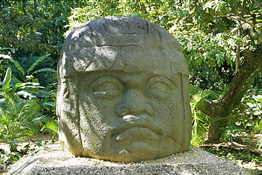 Olmec stone head at Parque-Museo la Venta, Villahermosa, Tabasco, Mexico, North America