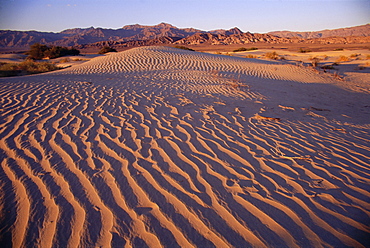 Sand dunes at Stovepipe Wells, Death Valley National Park, California, USA, North America