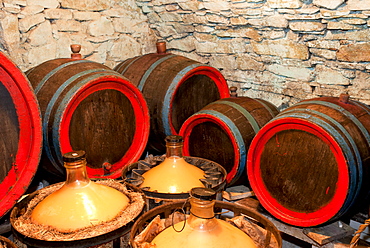 Wooden wine barrels and glass containers at wine cellar, village of Blatnice pod svatym Antoninkem, Brnensko, Czech Republic, Europe