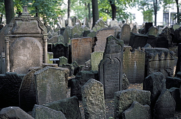 Headstones in the graveyard of the Jewish Cemetery, Josefov, Prague, Czech Republic, Europe