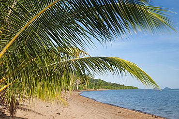 Dunk Island beach with islands offshore, palm leaves, Great Barrier Reef, UNESCO World Heritage  Site, Queensland, Australia, Pacific