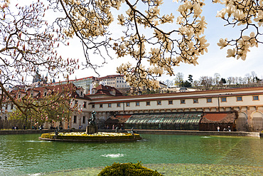 Baroque Waldstein Gardens and Prague Castle through spring blossom, Lesser Town (Mala Strana), Prague, Czechia, Europe