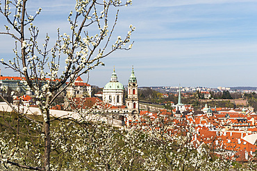 Baroque Saint Nicholas Church and Lesser Town (Mala Strana) through spring trees in blossom, Prague, Czechia, Europe