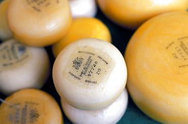 Close-up of Dutch cheeses, Amsterdam, The Netherlands (Holland), Europe