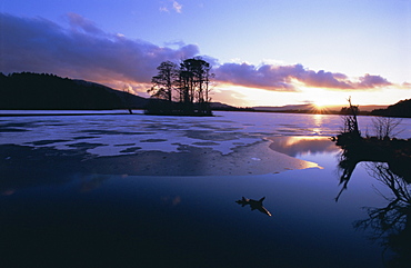 Winter landscape, Loch Mallachie, Speyside, Scotland, UK, Europe