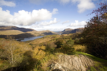 Lake Queen Victoria Ladies View, Upper Lake, Killarney National Park, County Kerry, Munster, Republic of Ireland, Europe