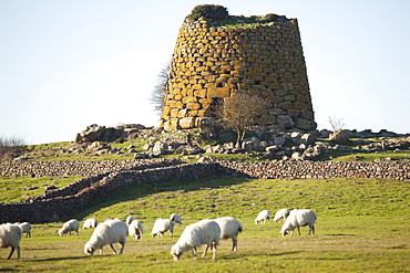 Nuraghe Succurronis, Macomer, Sardinia, Italy, Europe