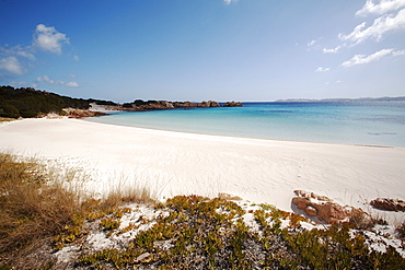 Spiaggia Rosa (Pink Beach) on the island of Budelli, Maddalena Islands, La Maddalena National Park, Sardinia, Italy, Mediterranean, Europe