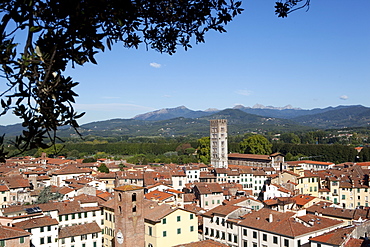 View of Lucca from the Giunigi Tower, Lucca, Tuscany, Italy, Europe