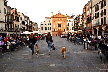 Market square, Padova, Veneto, Italy, Europe