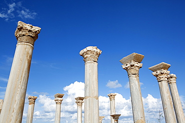 The columns of the central basilica, Apollonia, Libya, North Africa, Africa 