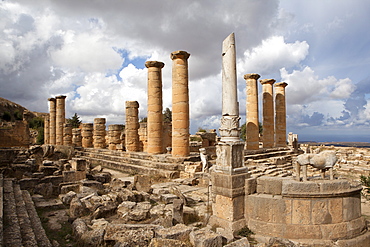 The Temple of Apollo, Cyrene, UNESCO World Heritage Site, Libya, North Africa, Africa 