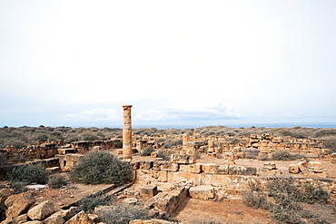 The Agora in the ancient town of Tocra founded by the Greeks in 630 BC, north east of the region of Cyrenaica, Libya, North Africa, Africa