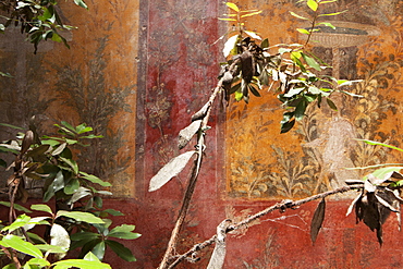 Fresco in the garden at the Poppea Villa (Villa Poppaea), Oplontis, UNESCO World Heritage Site, Campania, Italy, Europe