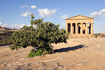 The Concordia Temple, Valley of the Temples, Agrigento, UNESCO World Heritage Site, Sicily, Italy, Europe