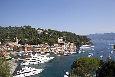 View of Portofino, Liguria, Italy, Mediterranean, Europe