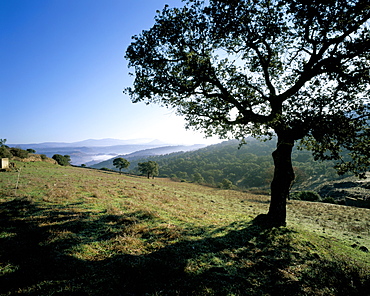 Landscape, Barbagia, island of Sardinia, Italy, Europe