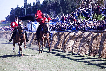 Pariglia equestrian competition for Sant Antioco, Sant'Antioco, Sardinia, Italy, Europe