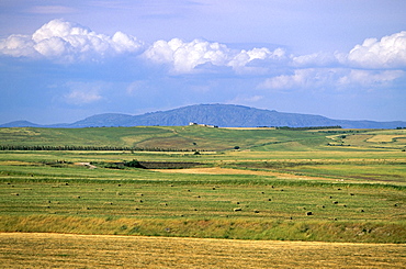 Campidano, island of Sardinia, Italy, Mediterranean, Europe