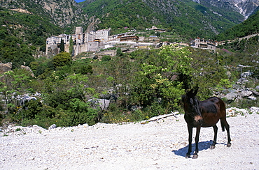 Athos, Greece, Europe